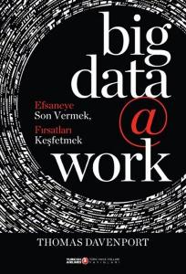 Big Data @ Work (Ciltli)