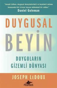 Duygusal Beyin: Duyguların Gizemli Dünyası