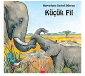 Hayvanların Sevimli Dünyası Küçük Fil