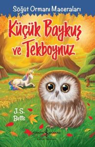 Küçük Baykuş ve Tekboynuz - Söğüt Ormanı Maceraları