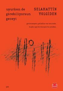 Uyurken de Görebiliyorsun Geceyi