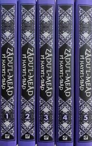 Zadul-Mead Fi Hayriı-İbad (5 Cilt Takım)