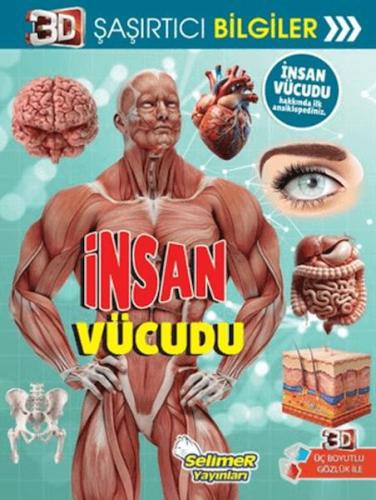 3D Şaşırtıcı Bilgiler - İnsan Vücudu - Münzevi Kitabevi