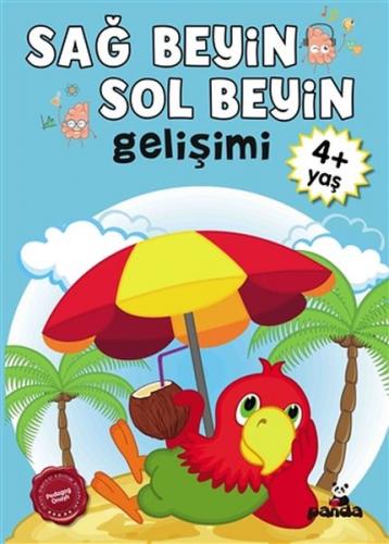 Sağ Beyin-Sol Beyin Gelişimi 4+ Yaş    