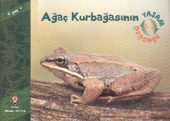 Ağaç Kurbağasının Yaşam Döngüsü - Münzevi Kitabevi