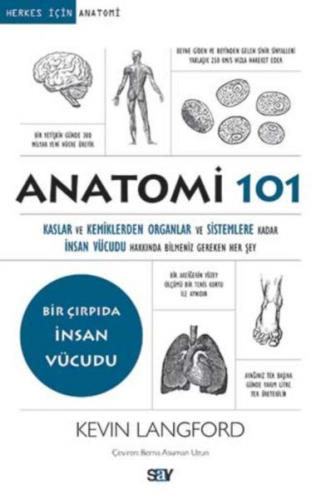 Kurye Kitabevi - Anatomi 101