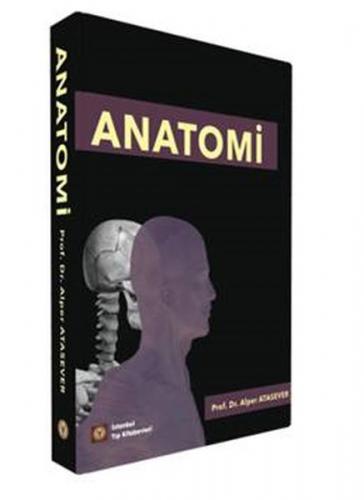 Kurye Kitabevi - Anatomi