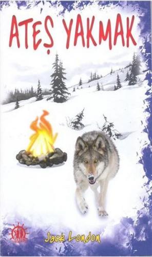 Ateş Yakmak