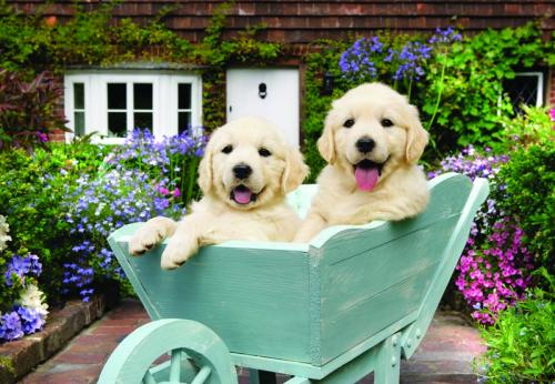 Kurye Kitabevi - Bahçıvan Köpekler Puppıes ın A Wheelbarrow (Puzzle 26