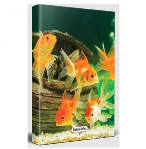 Kurye Kitabevi - Balık Ailesi - Planlama Defteri