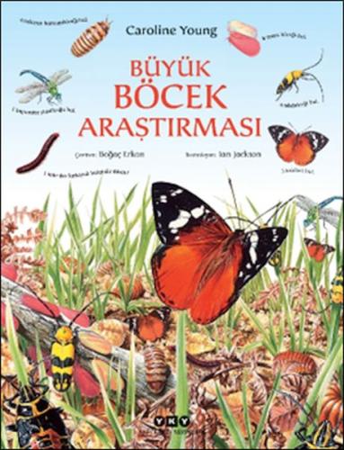 Kurye Kitabevi - Büyük Böcek Araştırması