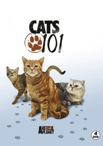 Kurye Kitabevi - Cats 101 Kediler