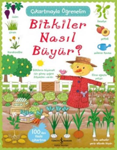 Çıkartmayla Öğrenelim Bitkiler Nasıl Büyür? - Münzevi Kitabevi