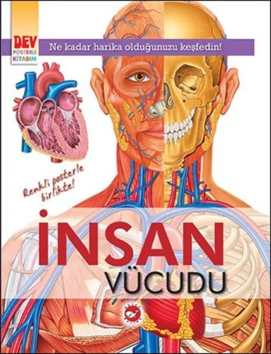 Kurye Kitabevi - Dev Posterli Kitabım - İnsan Vücudu