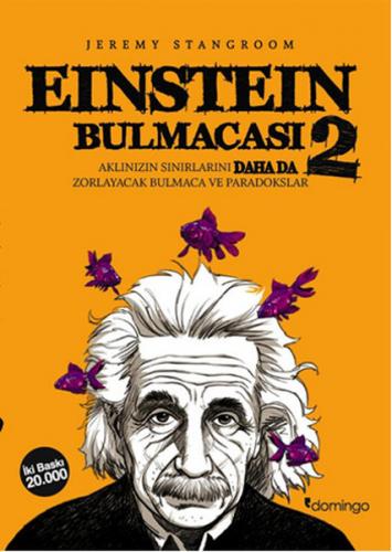 Kurye Kitabevi - Einstein Bulmacası-2