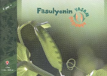 Fasulyenin Yaşam Döngüsü - Münzevi Kitabevi
