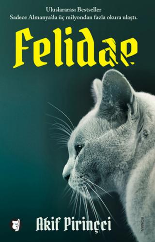 Kurye Kitabevi - Felidae