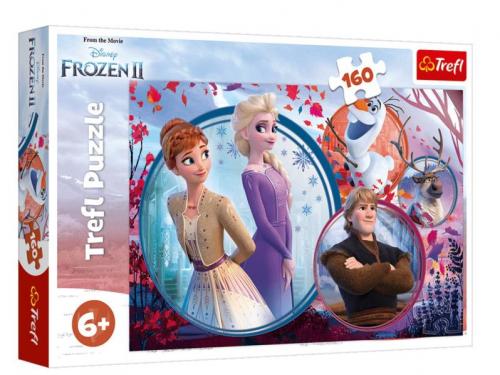 Frozen II 15374 (160 Parça)
