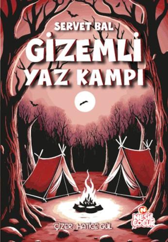Gizemli Yaz Kampı - Münzevi Kitabevi