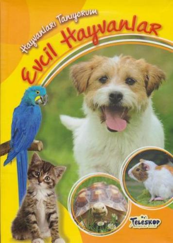 Kurye Kitabevi - Hayvanları Tanıyorum-Evcil Hayvanlar