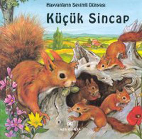 Hayvanların Sevimli Dünyası Küçük Sincap - Münzevi Kitabevi