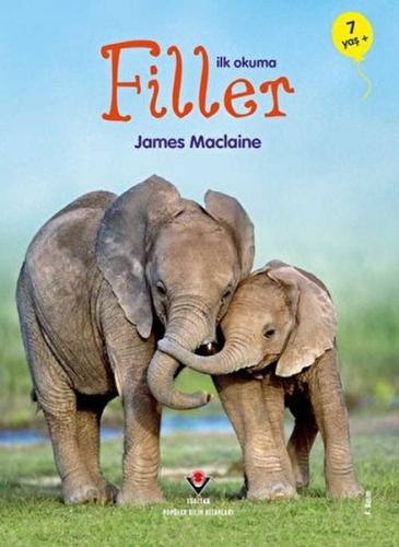 Kurye Kitabevi - İlk Okuma - Filler