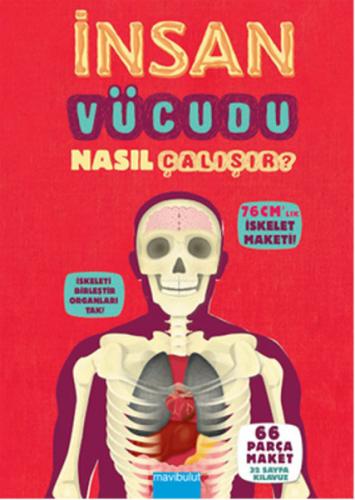 İnsan Vücudu Nasıl Çalışır? - Münzevi Kitabevi