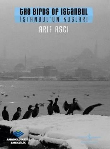 Kurye Kitabevi - İstanbul'un Kuşları