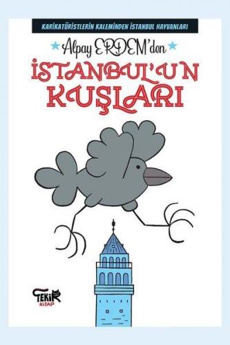 Kurye Kitabevi - İstanbul'un Kuşları
