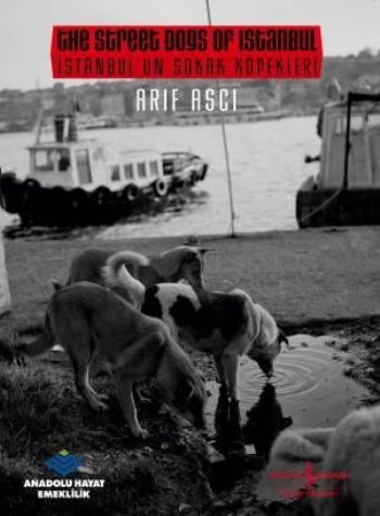 Kurye Kitabevi - İstanbul'un Sokak Köpekleri