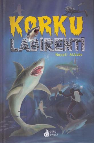 Korku Labirenti