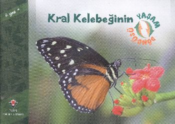 Kurye Kitabevi - Kral Kelebeğinin Yaşam Döngüsü
