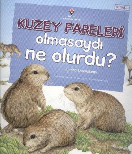 Kuzey Fareleri Olmasaydı Ne Olurdu? - Münzevi Kitabevi