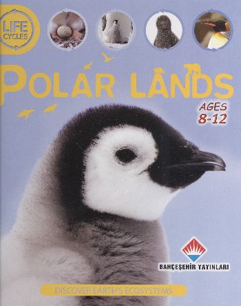 Life Cycles - Polar Lands (8-12 Ages) - Münzevi Kitabevi