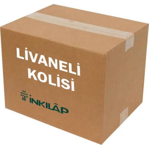 Livaneli Kolisi (21 Kitap - 72 Adet)