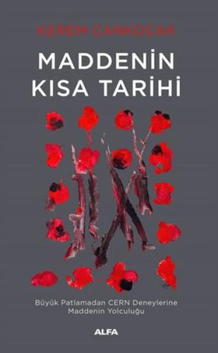 Maddenin Kısa Tarihi - Münzevi Kitabevi