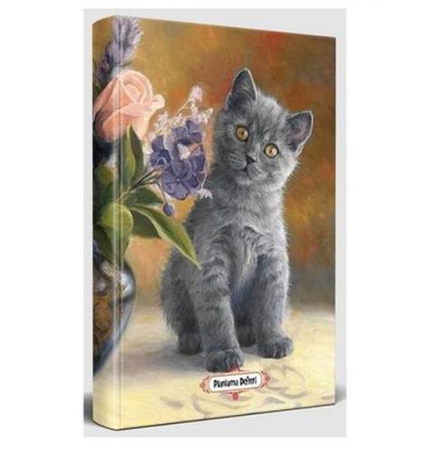 Masum Kedi - Planlama Defteri