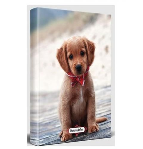 Masum Köpek - Planlama Defteri