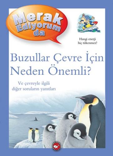 Merak Ediyorum Da - Buzullar Çevre İçin Neden Önemli? - Münzevi Kitabe