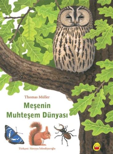 Meşenin Muhteşem Dünyası - Münzevi Kitabevi