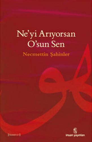 Ne'yi Arıyorsan O'sun Sen