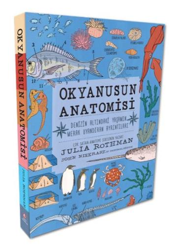 Kurye Kitabevi - Okyanusun Anatomisi