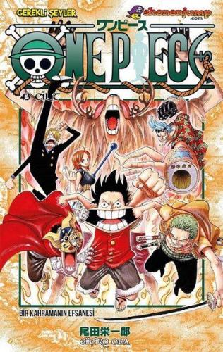 Kurye Kitabevi - One Piece 43
