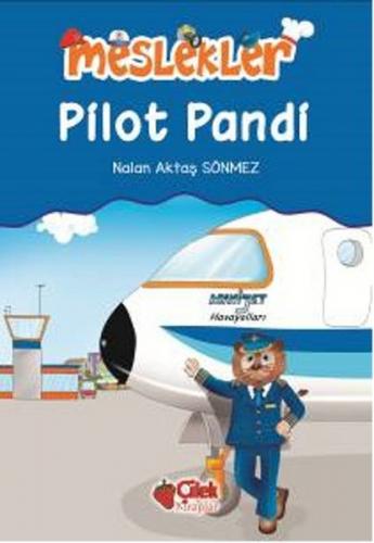 Kurye Kitabevi - Meslekler - Pilot Pandi