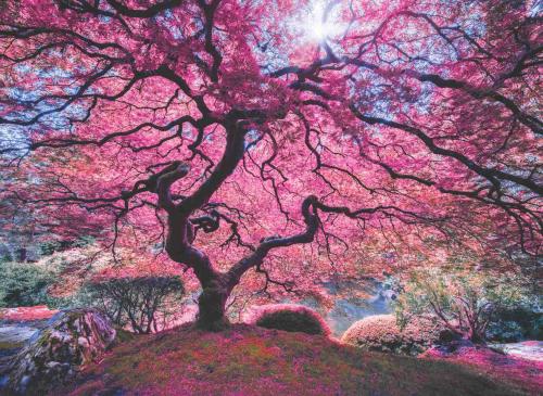 Kurye Kitabevi - Pembe Ağaç Pink Tree (Puzzle 1000) 1037