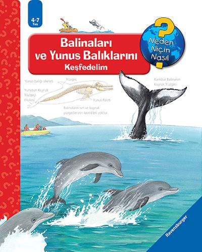 Kurye Kitabevi - Ravensburger Maksi Balinaları ve Yunus Balıklarını Ke