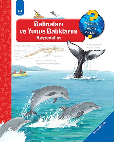 Ravensburger Maksi Balinaları ve Yunus Balıklarını Keşfedelim - Münzev