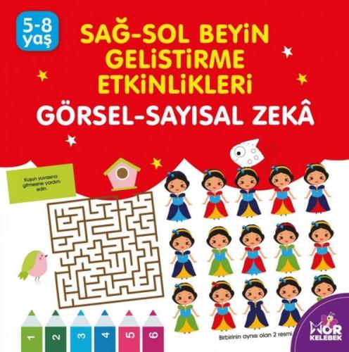 Sağ-Sol Beyin Geliştirme Etkinlikleri - Görsel-Sayısal Zeka