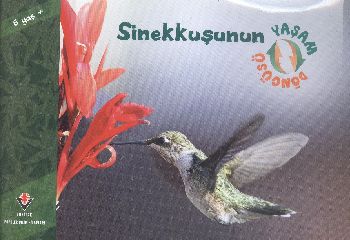 Sinekkuşunun Yaşam Döngüsü - Münzevi Kitabevi