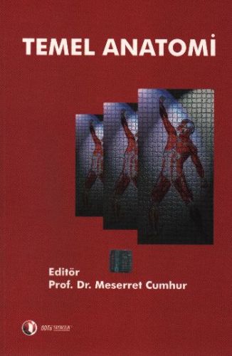 Kurye Kitabevi - Temel Anatomi